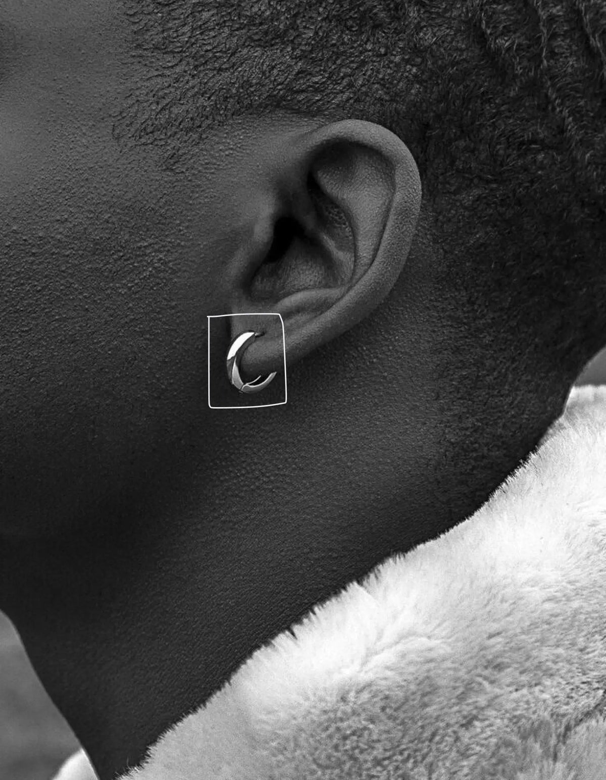 Ears & Nose